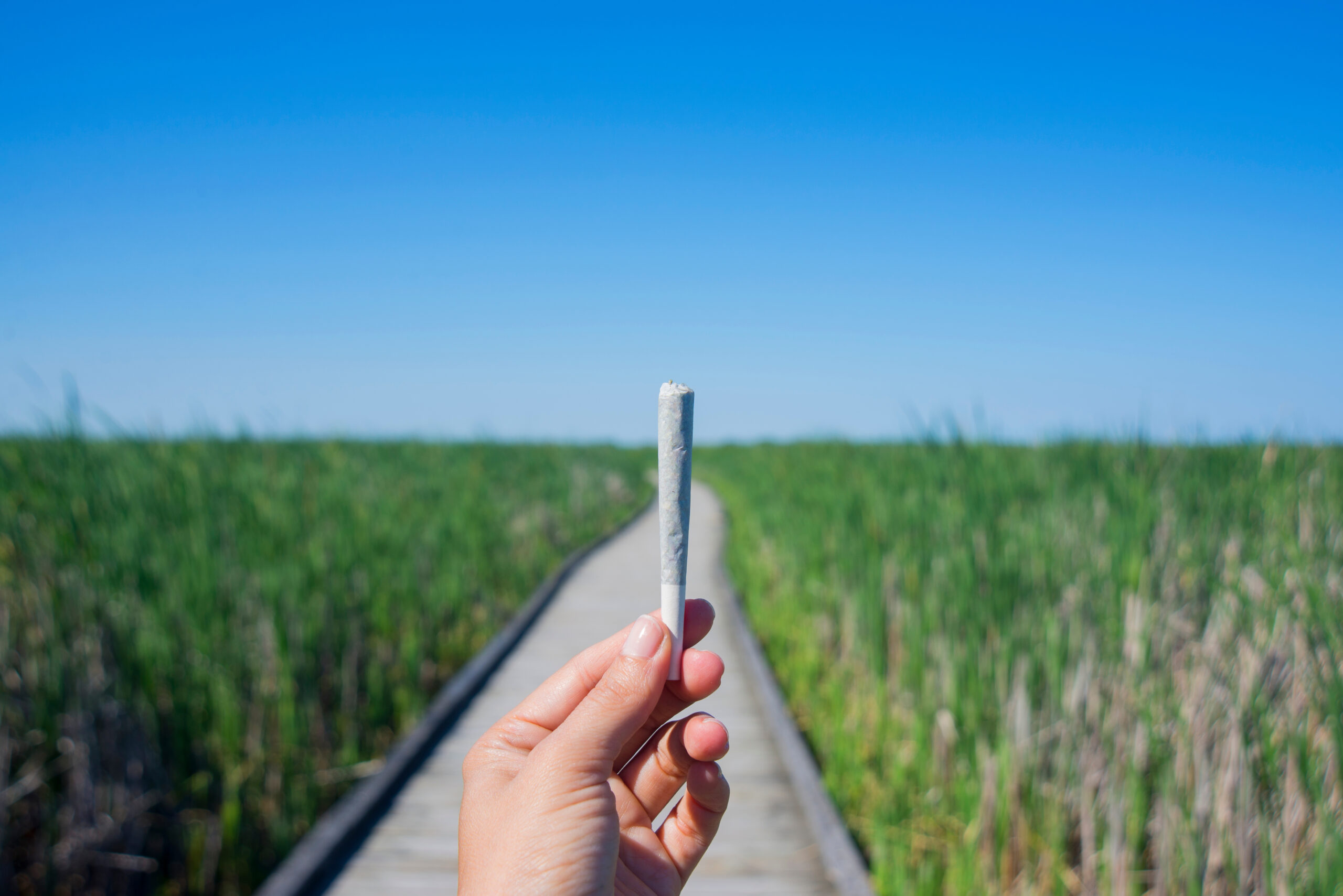 Hand holding pre-rolled cone on a boardwalk. 