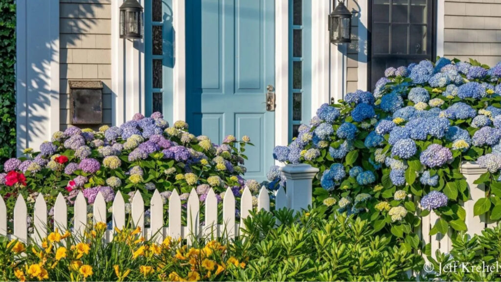 The Provincetown Hotel at Gabriel's in the spring near Hennep cannabis dispensary
