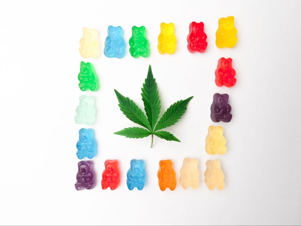Colorful cannabis gummy bears shaped as a square with a cannabis leaf in the middle. Source - Pexels